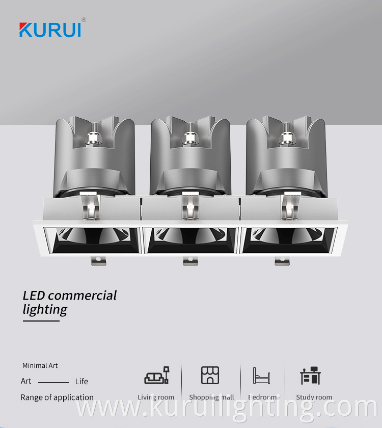 Adjusted Hotel COB LED Downlight